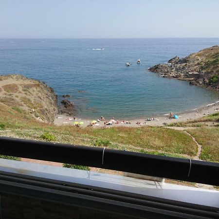 Portvendres Sea view Lejlighed Port Vendres Eksteriør billede