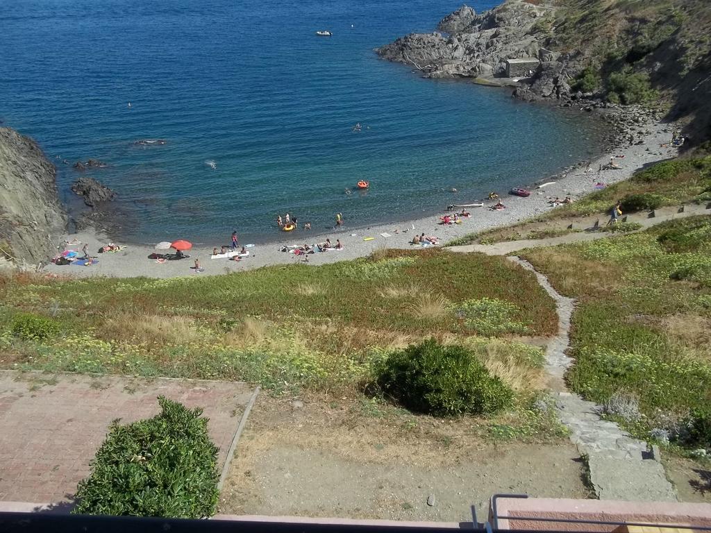 Portvendres Sea view Lejlighed Port Vendres Eksteriør billede