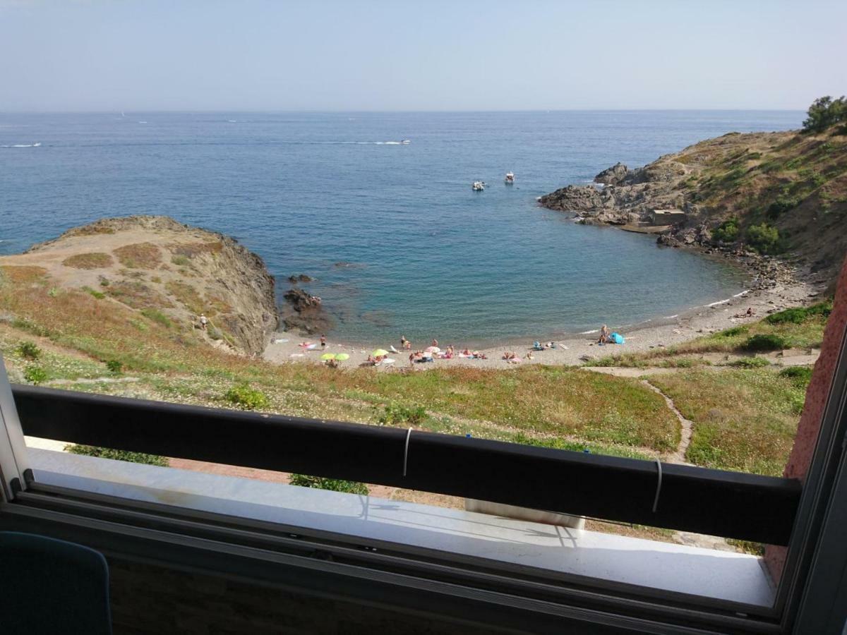 Portvendres Sea view Lejlighed Port Vendres Eksteriør billede